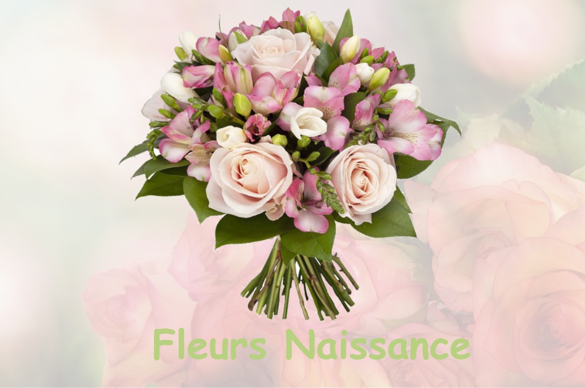 fleurs naissance SAINT-GENGOUX-LE-NATIONAL